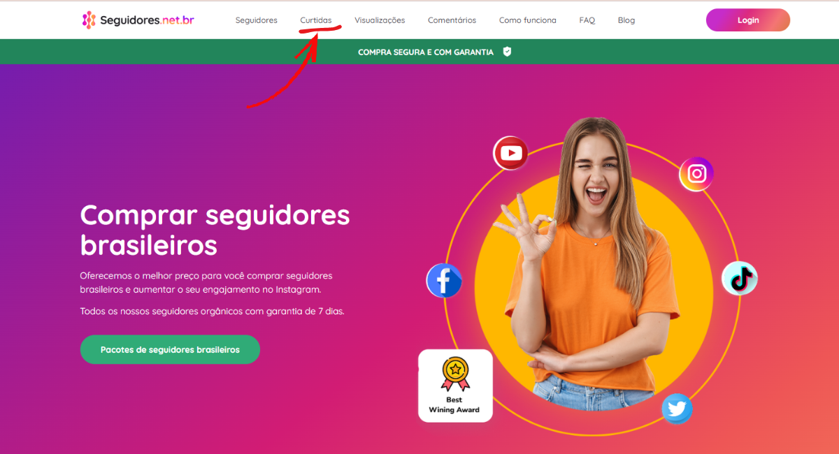 página do seguidores.net.br de comprar curtidas